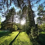 Bosco 3* Val di Zoldo