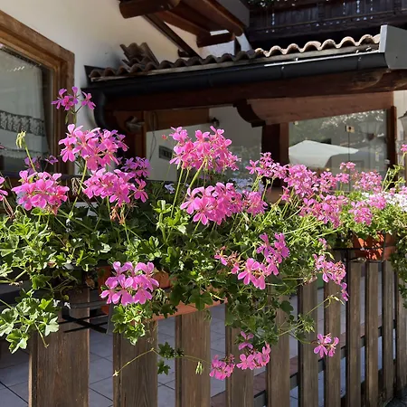 Bosco Hotel Val di Zoldo