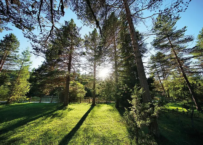 Bosco 3* Val di Zoldo