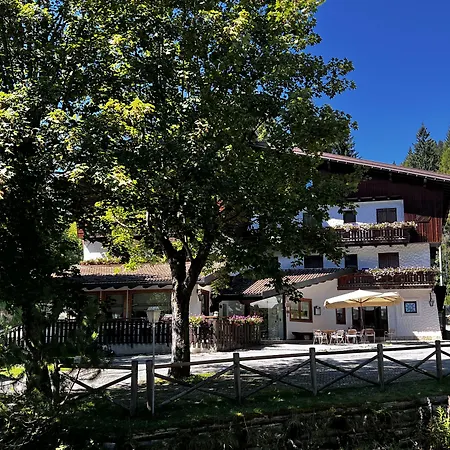 Bosco 3*