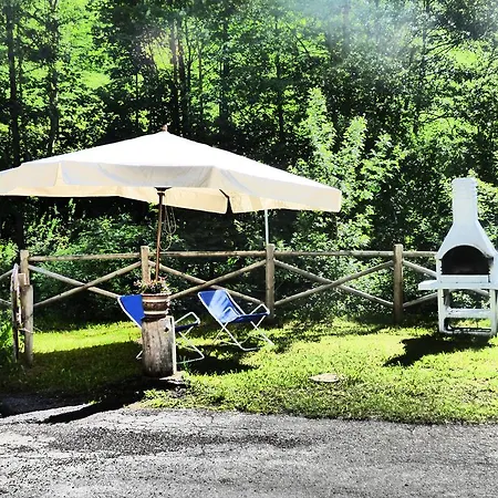 Bosco Val di Zoldo