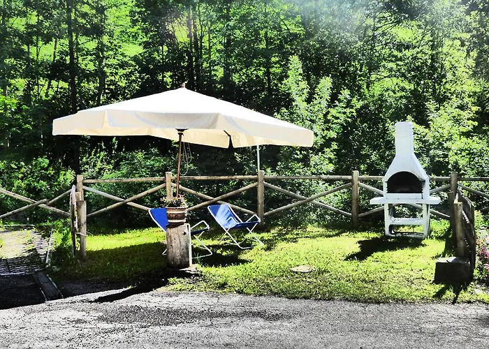 Bosco Val di Zoldo
